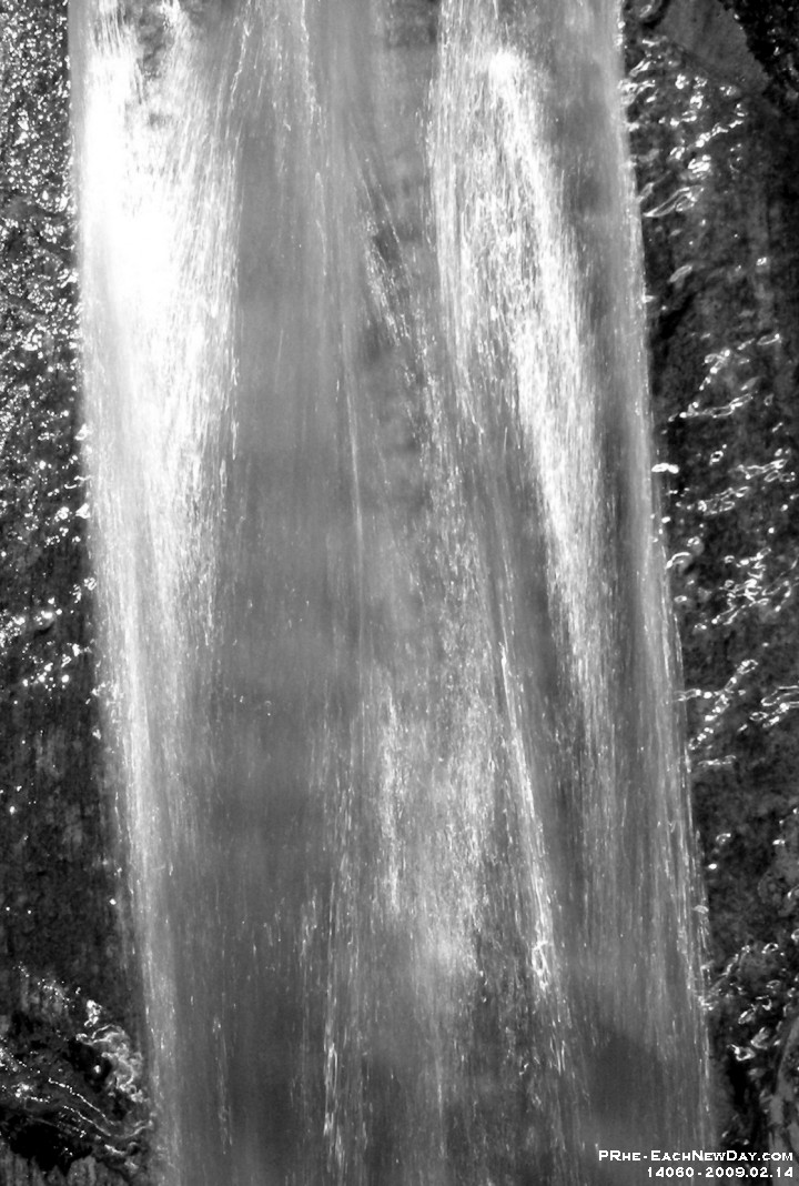 14060CrLeBw - At PJ's Pets